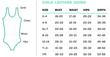 PNB School Requirement Leotard - Level 4